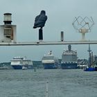 Begegnung auf der Förde in Kiel 2015