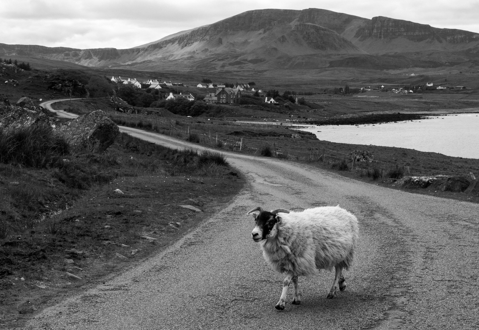 Begegnung auf der Isle of Skye