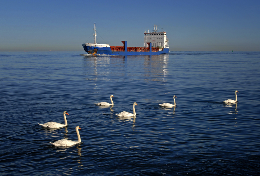 Begegnung auf der Ostsee