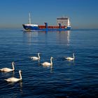 Begegnung auf der Ostsee