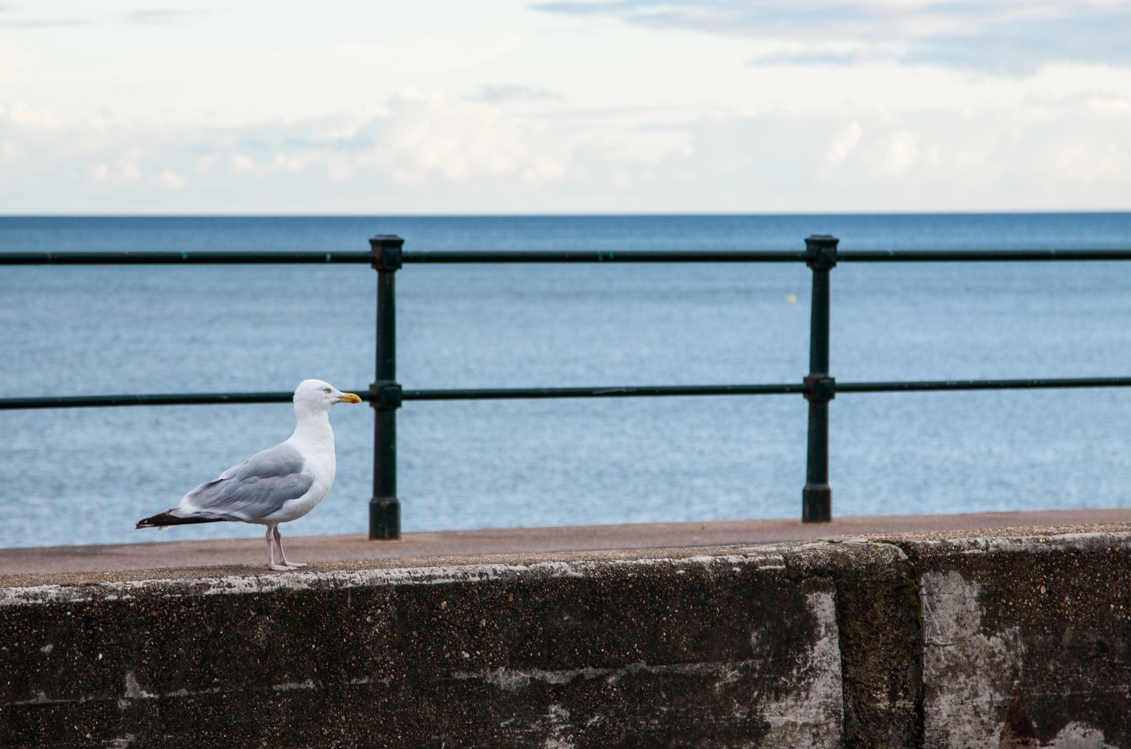 Begegnung auf der Promenade... - Sidmotuh, England