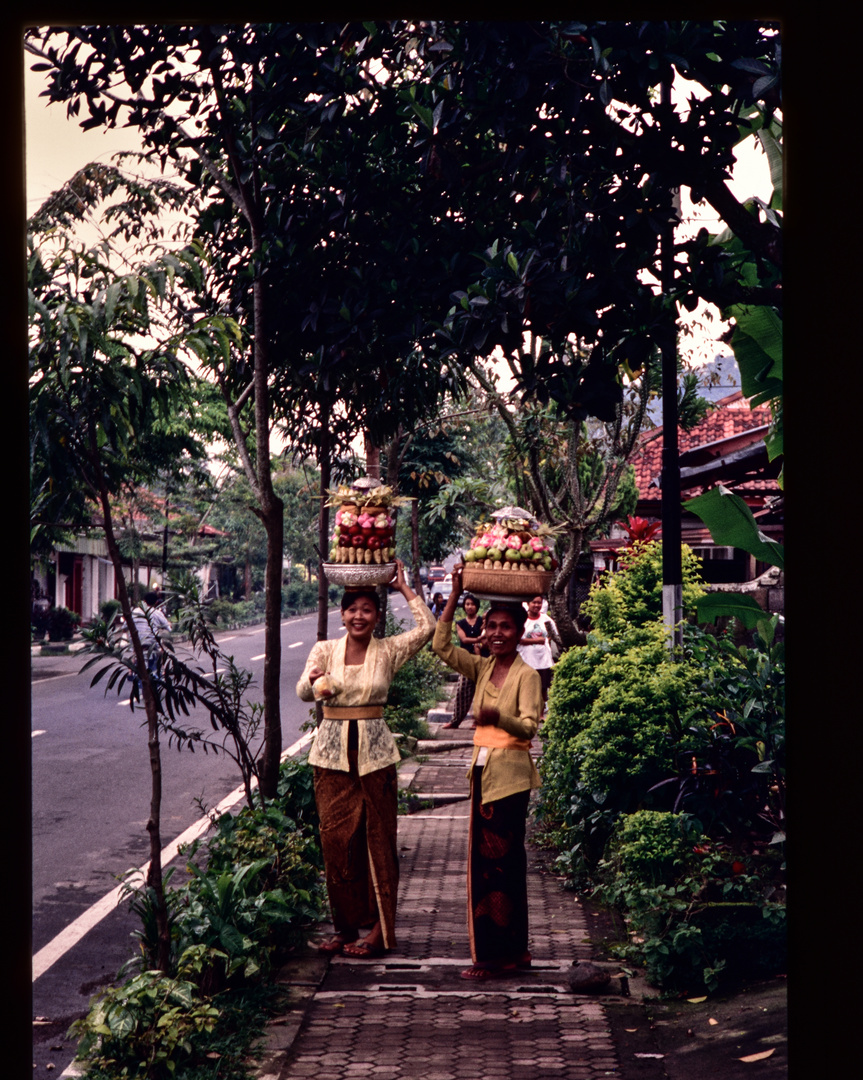 Begegnung .Bali. .DSC_7331-2