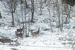 Begegnung bei meiner heutigen Wanderung