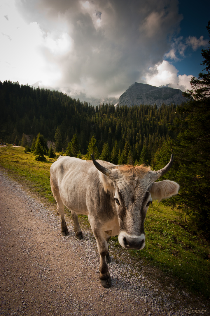 Begegnung beim Wandern