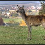 Begegnung der besonderen Art (1)