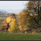 Begegnung der besonderen Art (3)