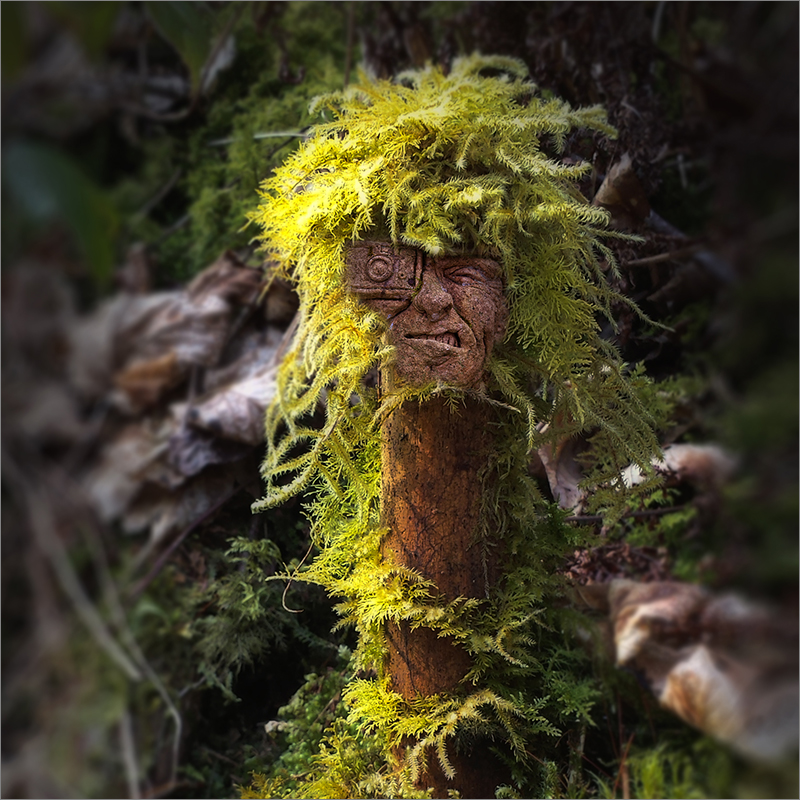 Begegnung der ungewöhnlichen Art im schwarzen Wald