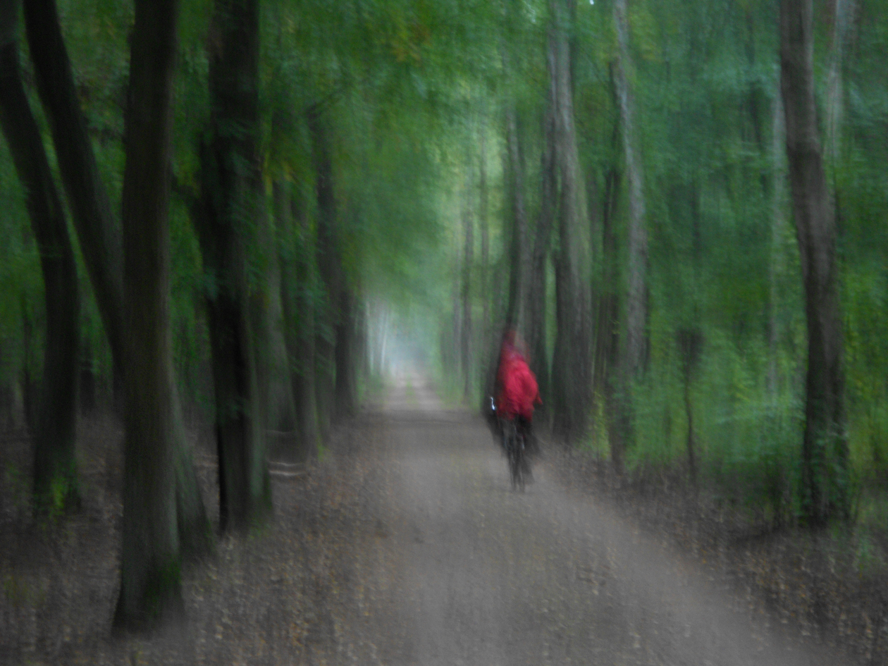 Begegnung eines Waldes mit einem roten Radfahrer