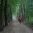 Begegnung eines Waldes mit einem roten Radfahrer