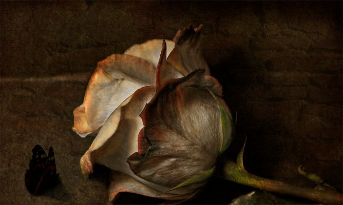 Begegnung (Encuentro)