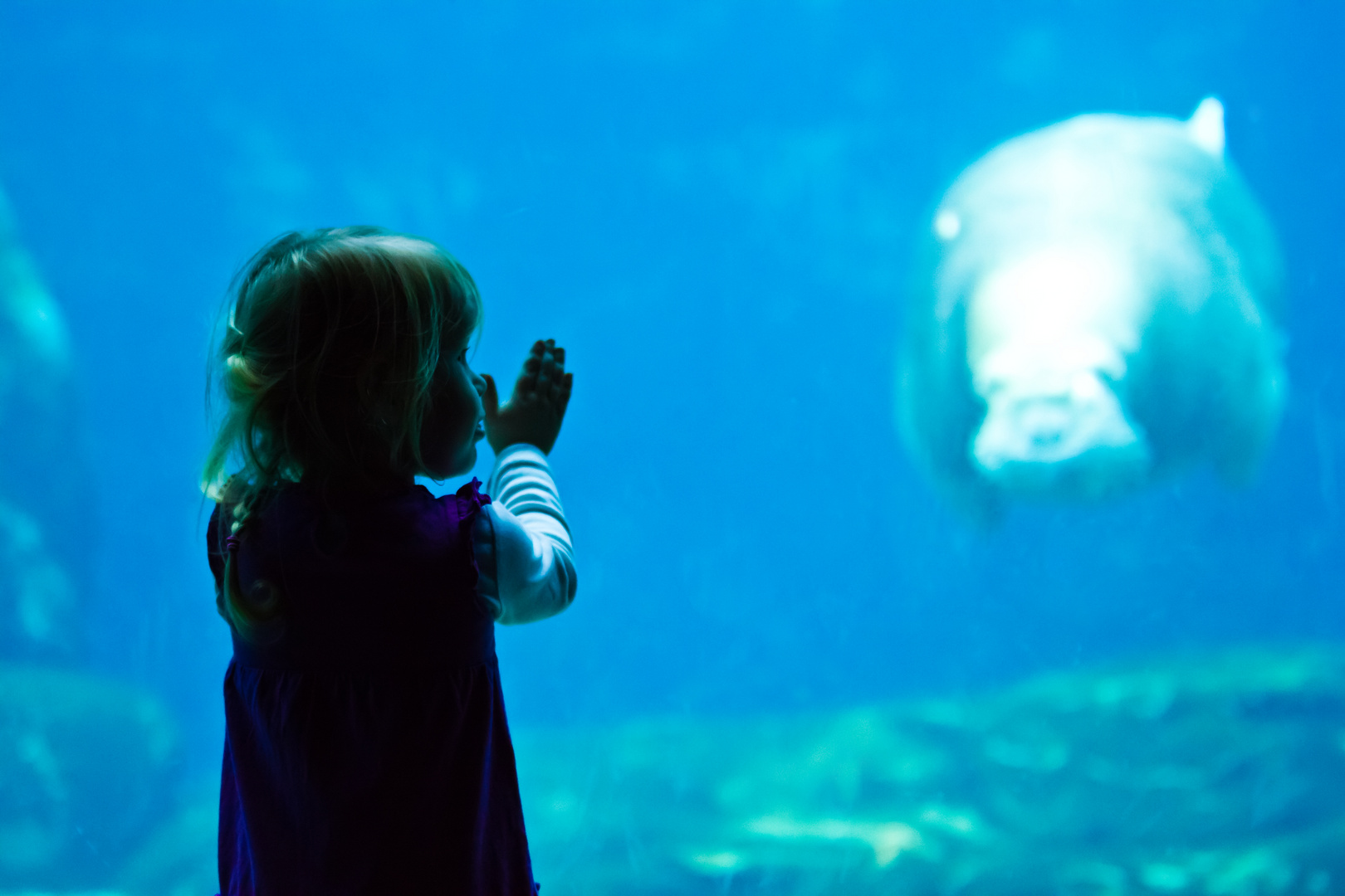 Begegnung im Aquarium