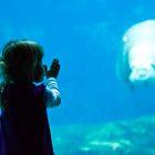 Begegnung im Aquarium