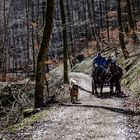 Begegnung im Erdtal