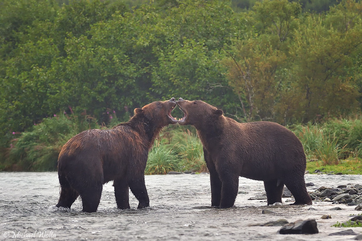 Begegnung im Fluss