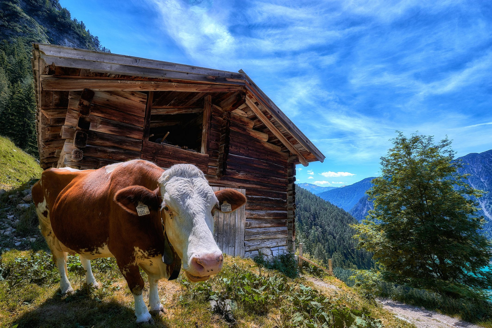 Begegnung im Gebirge