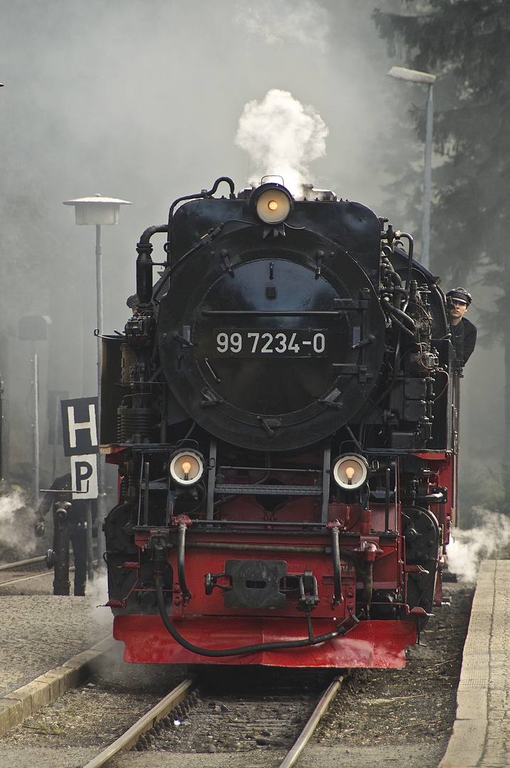 Begegnung im Harz