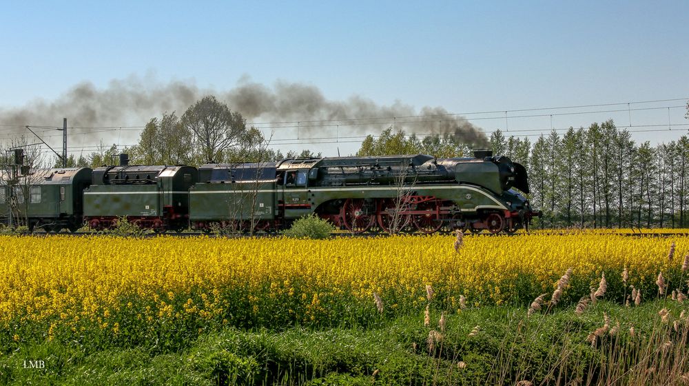 Begegnung im Havelland