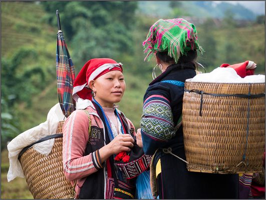 Begegnung im hohen Norden