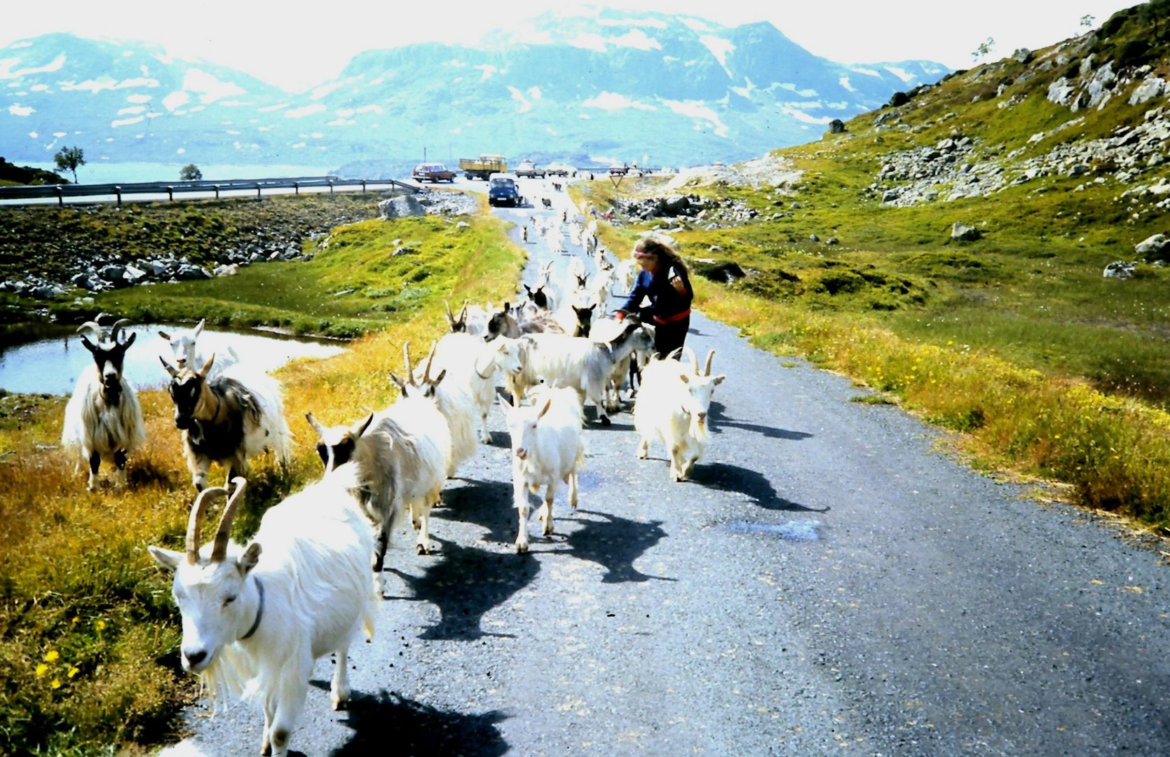 Begegnung im Hordaland