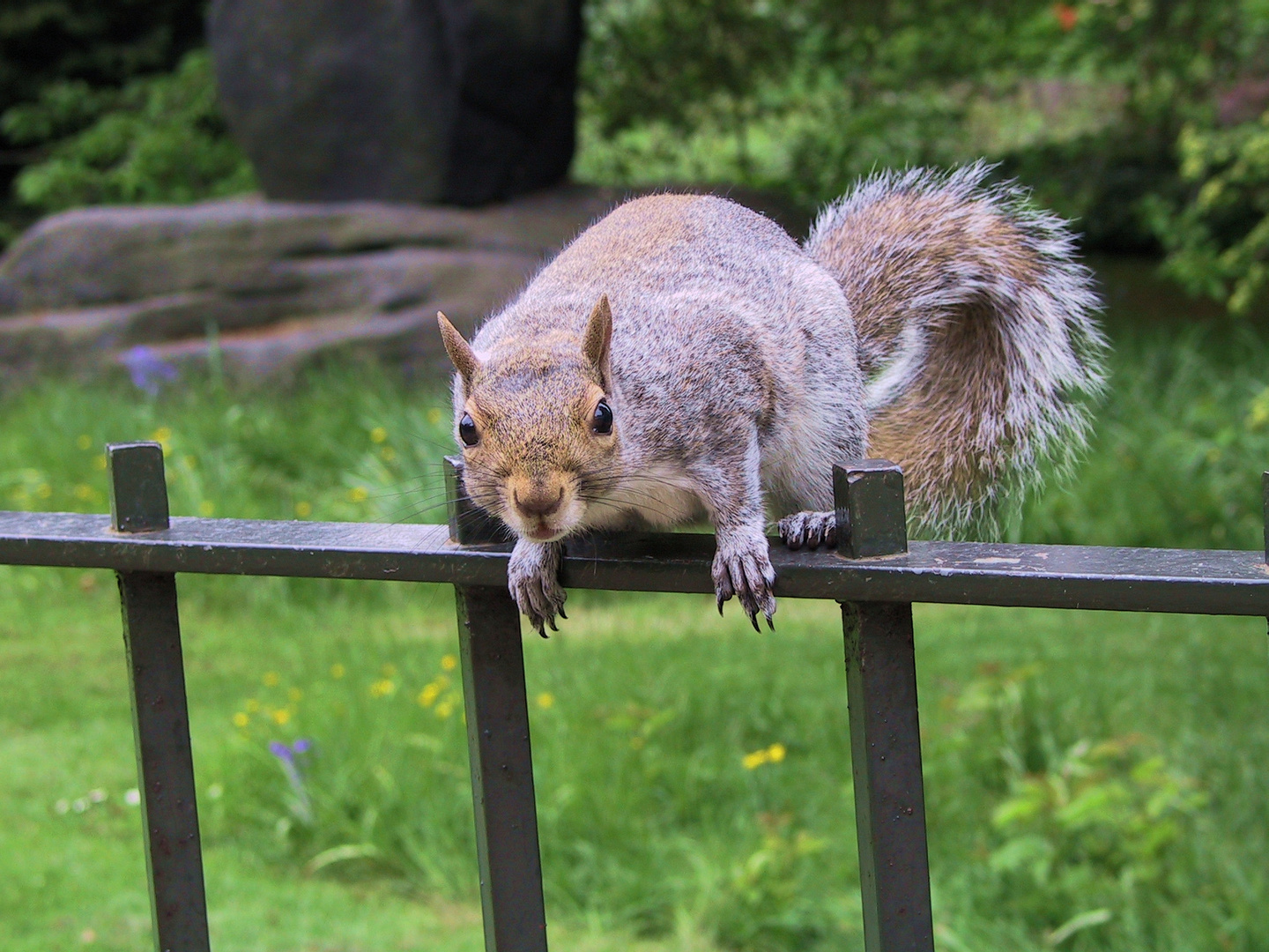 Begegnung im Hyde-Park, London