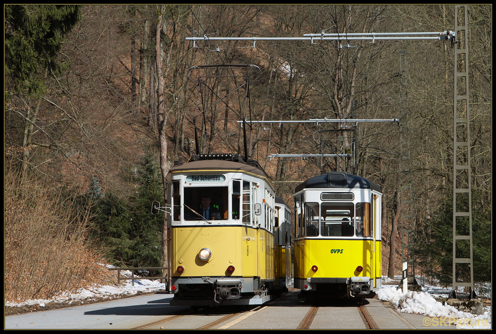 Begegnung im Kirnitzschtal