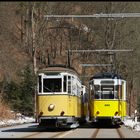 Begegnung im Kirnitzschtal