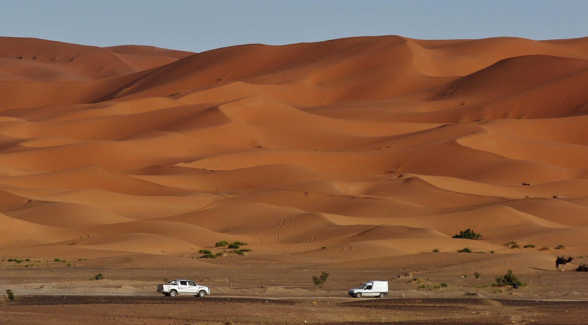 Begegnung im Meer aus Sand