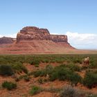 Begegnung im Monument Valley