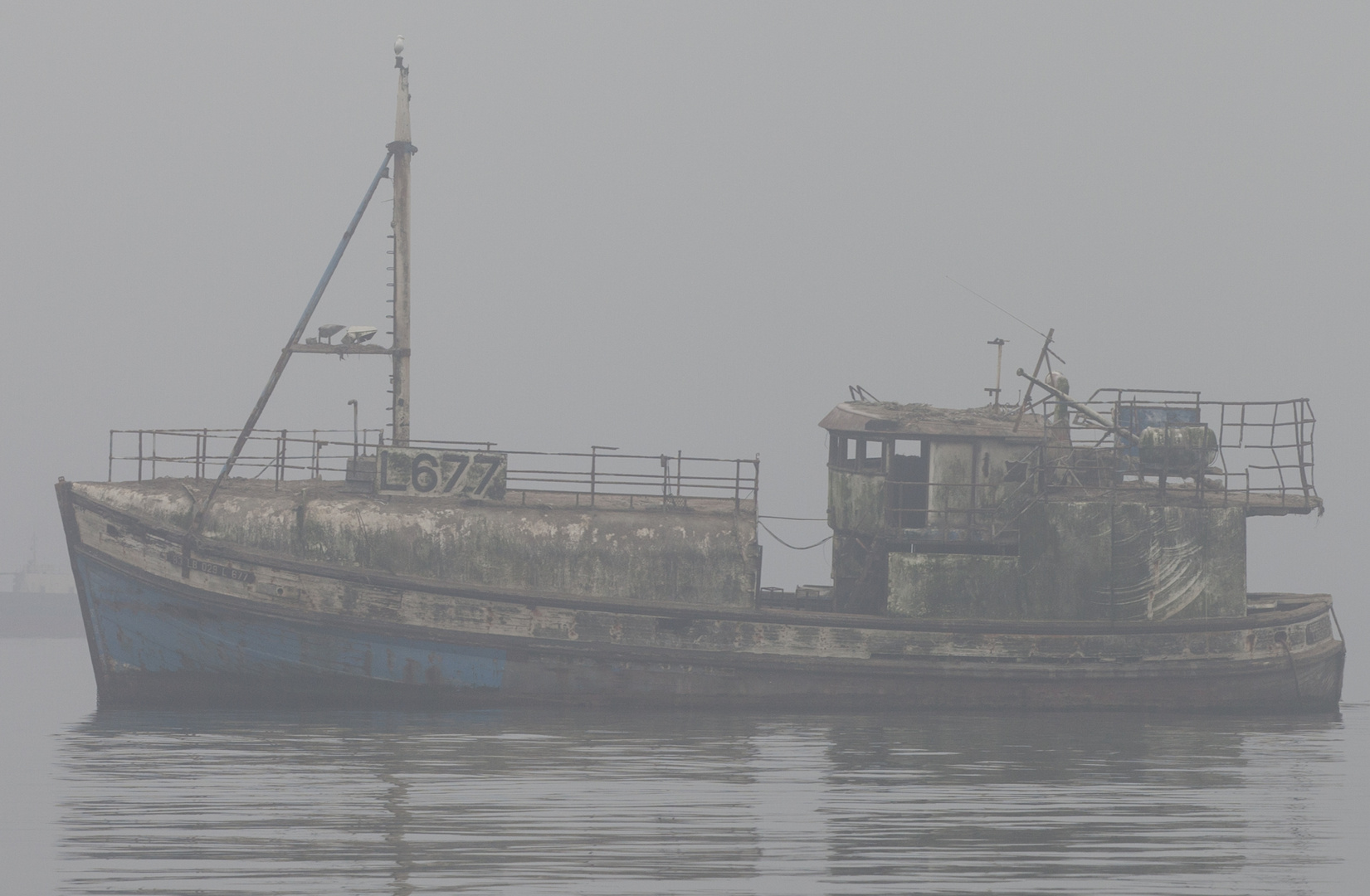 Begegnung im Morgennebel vor Walvis Bay