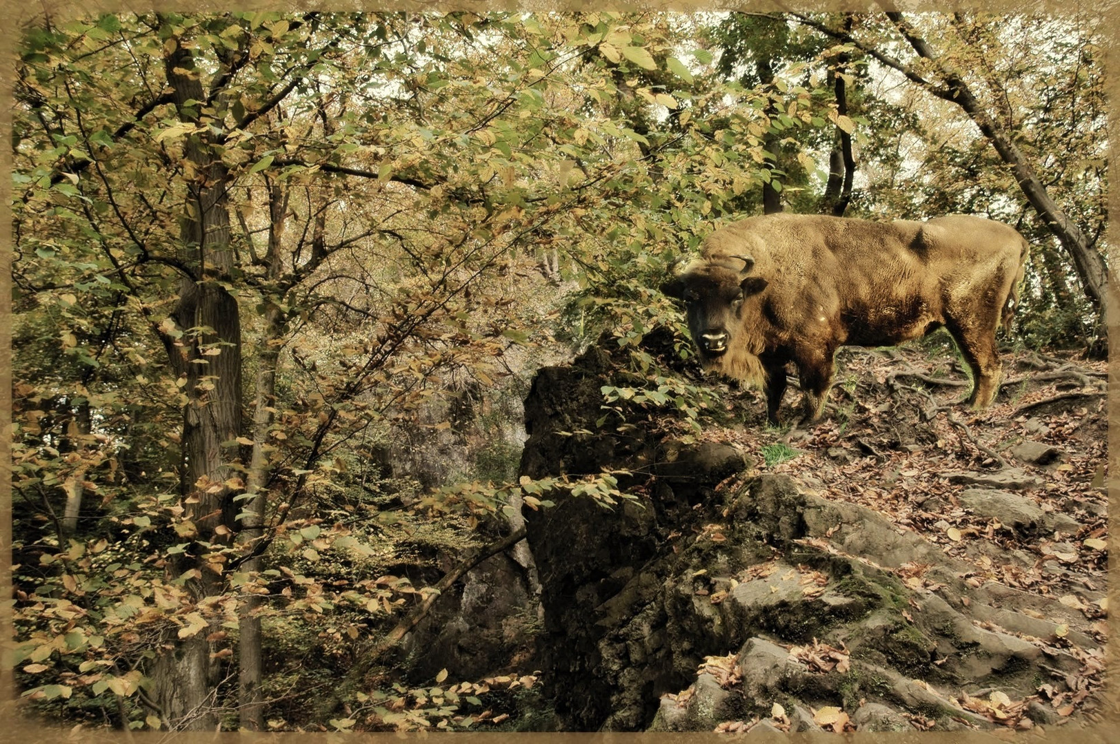 Begegnung im Neandertal ...