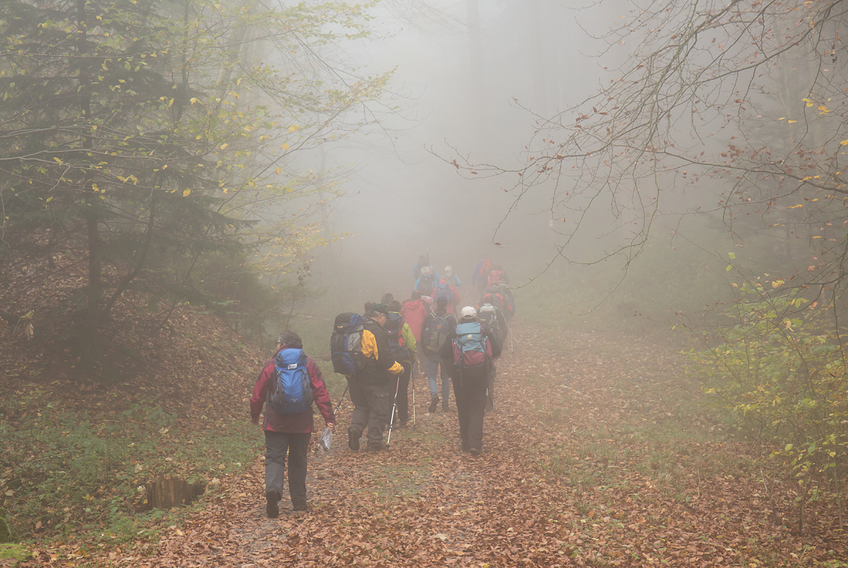 Begegnung im Nebel