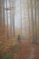 Begegnung im Nebel