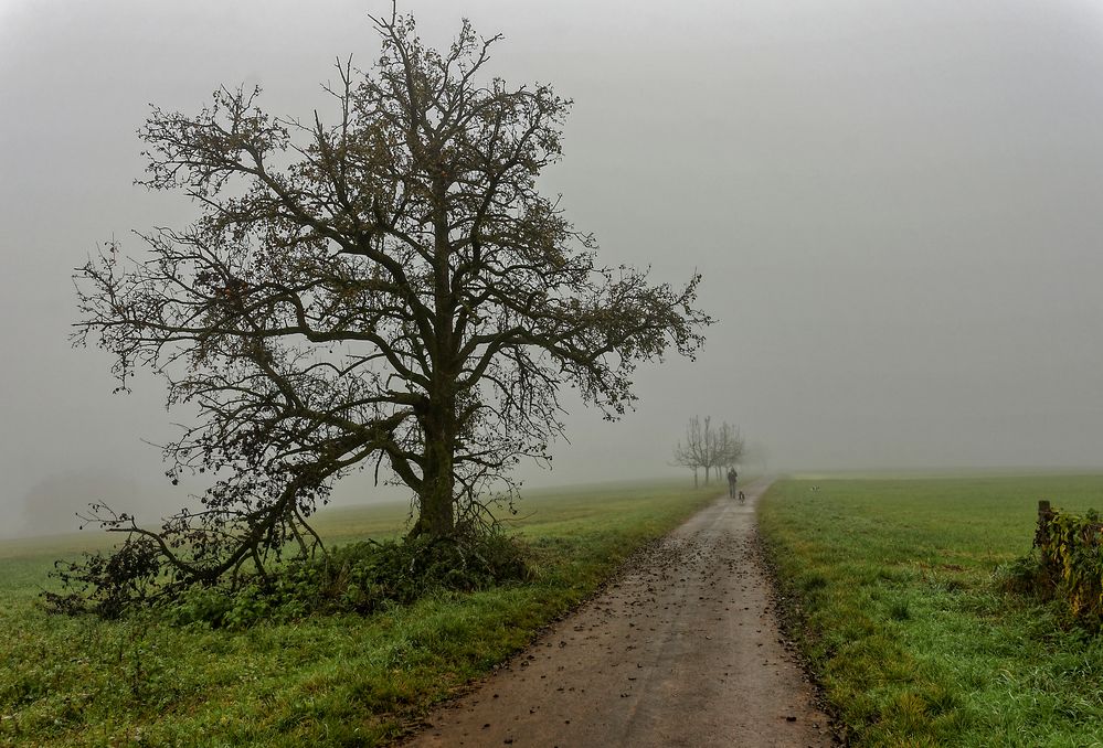 Begegnung im Nebel