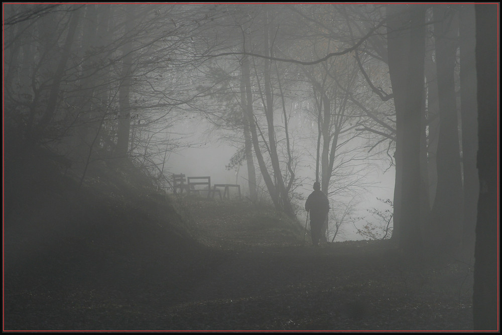 Begegnung im Nebel