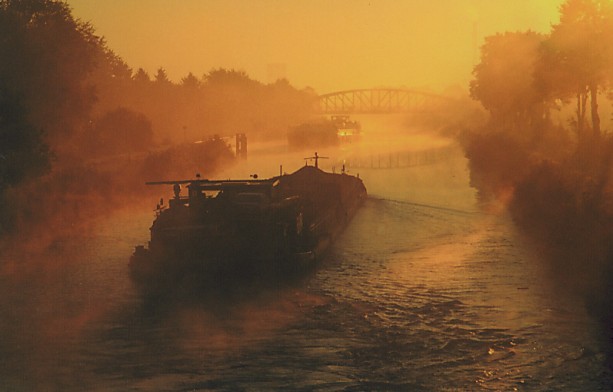 Begegnung im Nebel