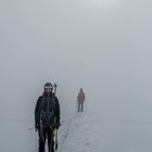 Begegnung im Nebel