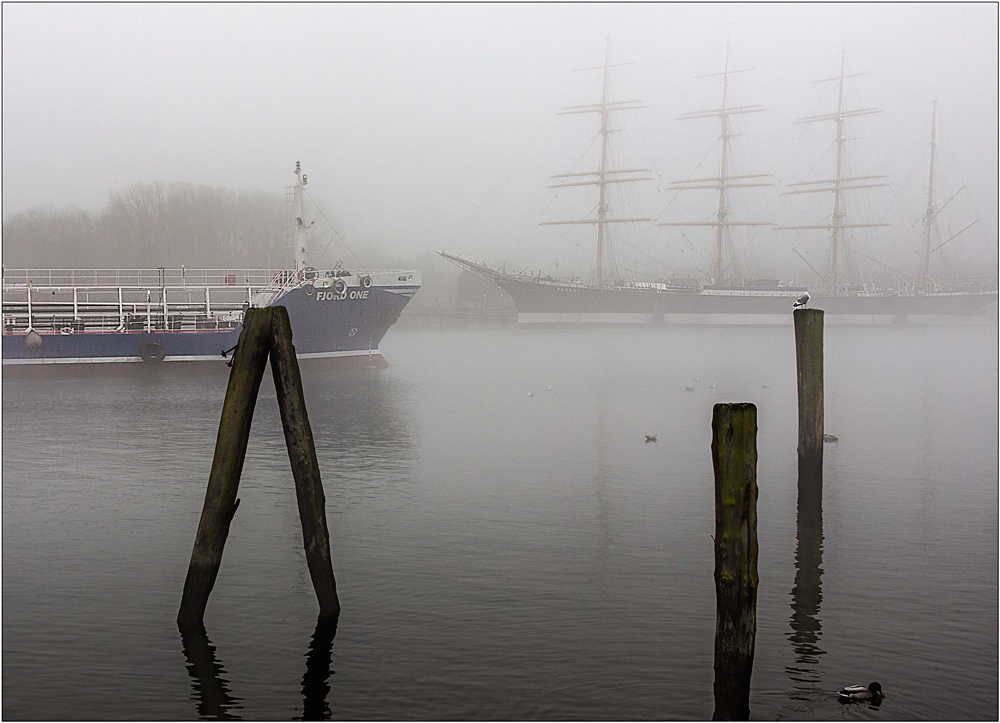 ... Begegnung im Nebel ...