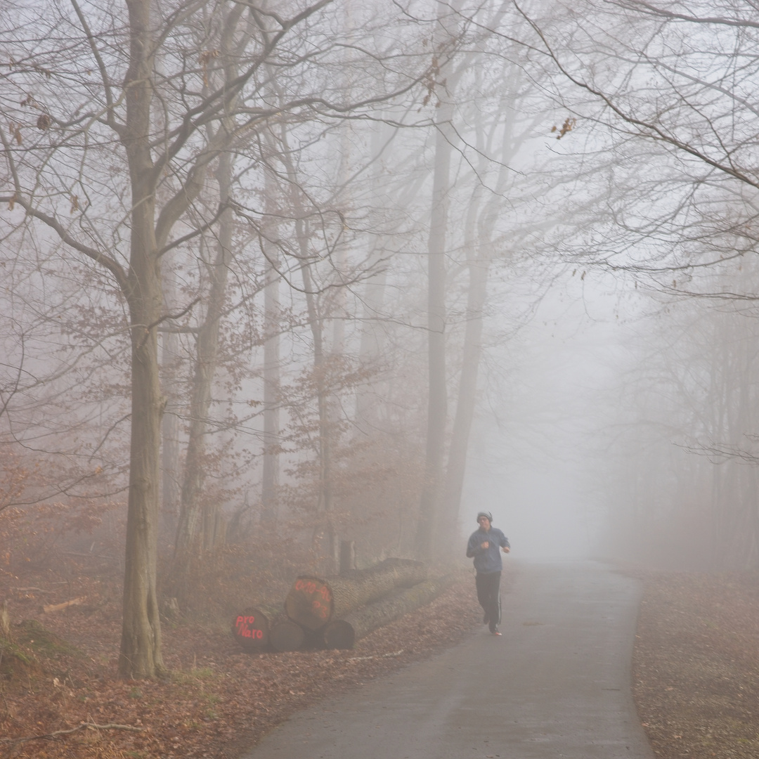 Begegnung im Nebel