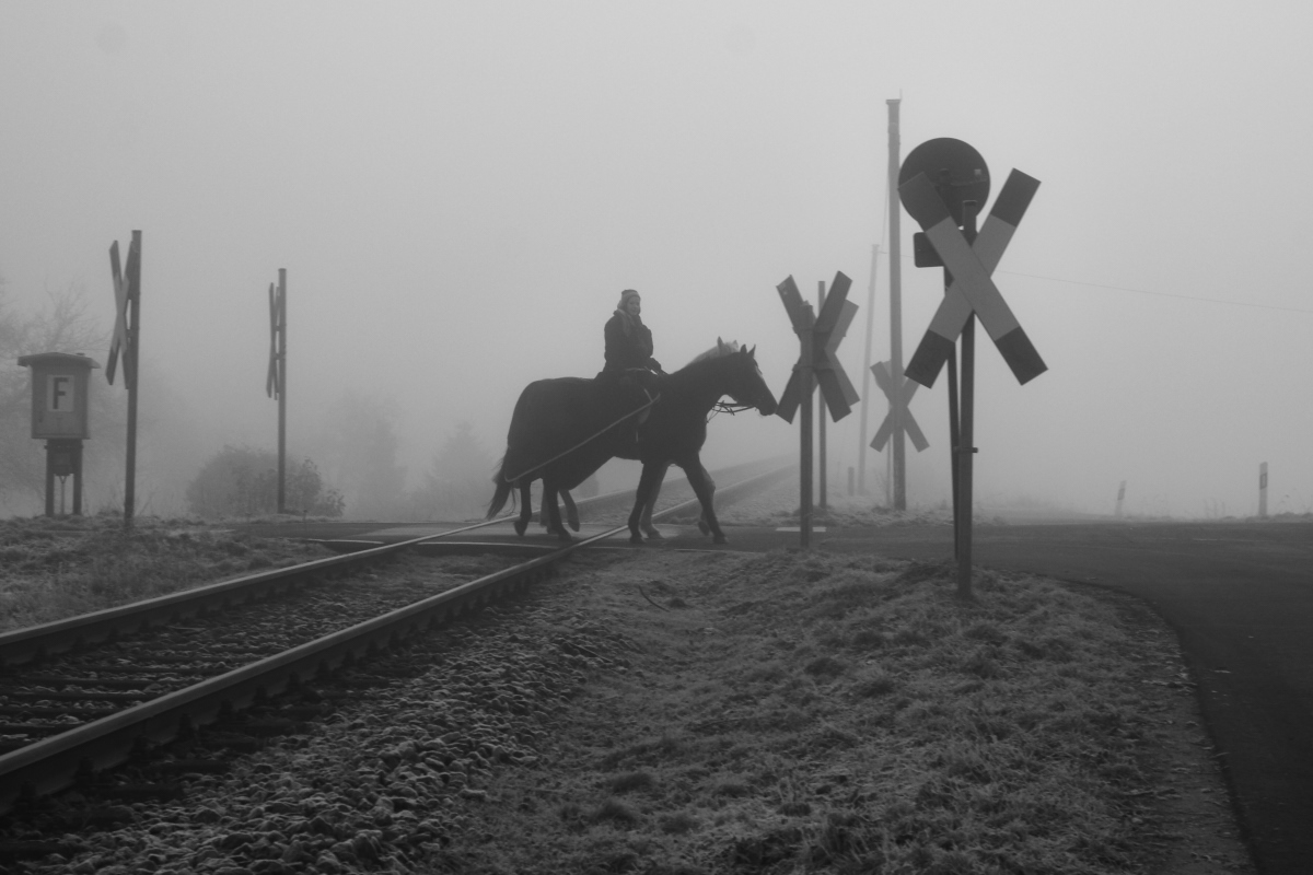 Begegnung im Nebel