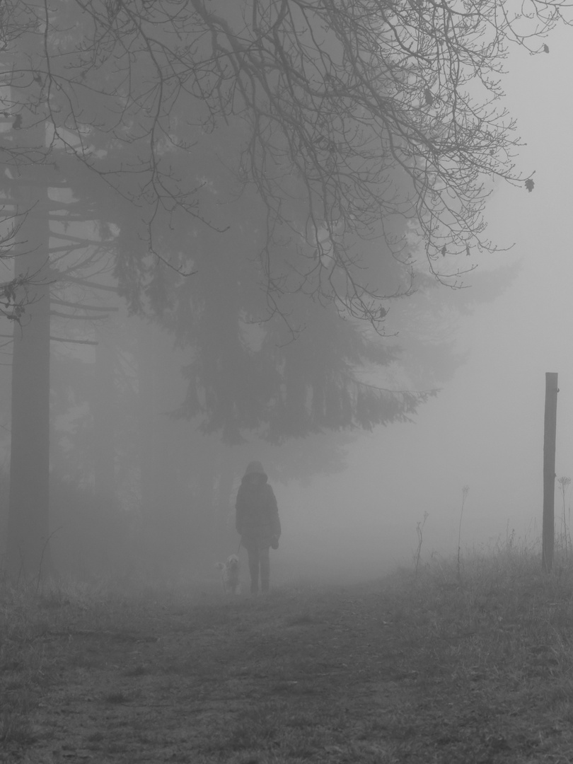 Begegnung-im-Nebel am Waldrand