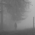 Begegnung-im-Nebel am Waldrand