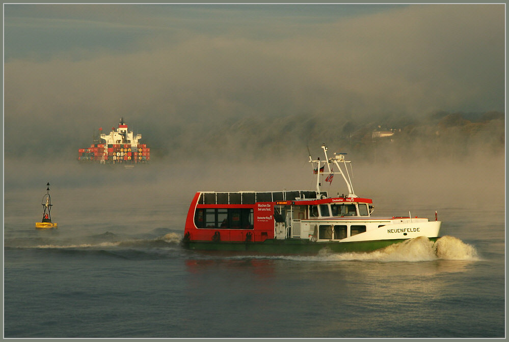 Begegnung im Nebel - Encounter in the fog