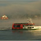 Begegnung im Nebel - Encounter in the fog