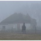 Begegnung im Nebel - Reload