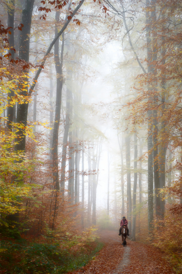 Begegnung im Nebelwald