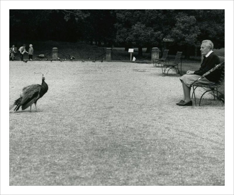 Begegnung im Park.