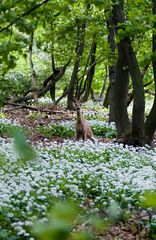 Begegnung im Pötzleinsdorfer Schlosspark