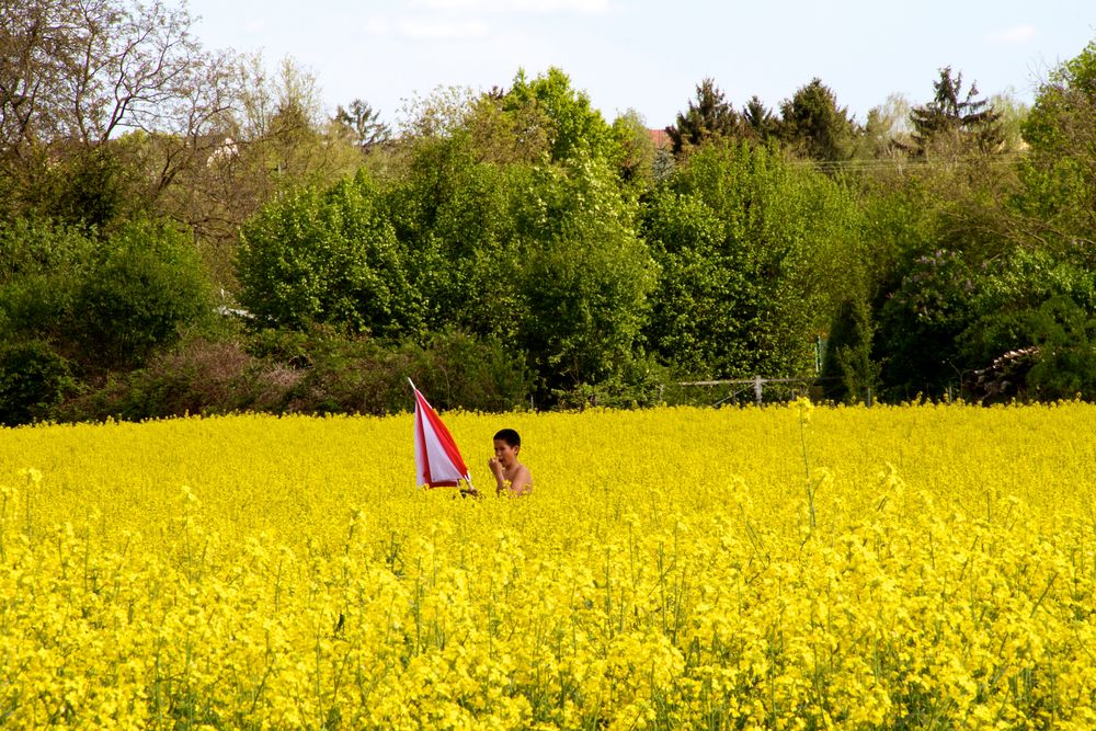 Begegnung im Raps