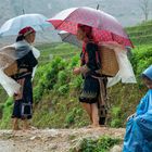 Begegnung im Regen