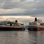 Begegnung im Romsdalfjord 